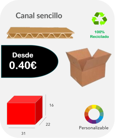 Caja 31x22x16 cm Canal sencillo Extra